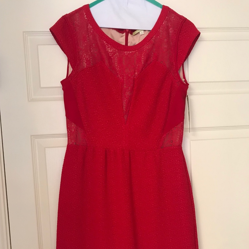 Gianni Bini dress